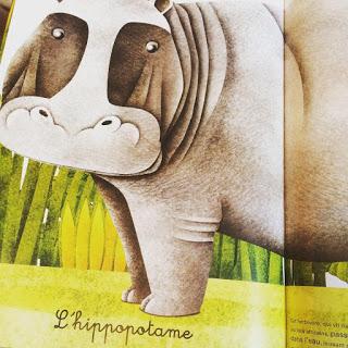 {Album}  Le grand livre des animaux géants - Le petit livre des animaux minuscules de Francesca Cosanti