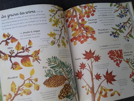 Promenade dans les bois ♥ ♥ ♥ Natalie Hughes - Editions Usborne