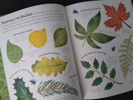 Promenade dans les bois ♥ ♥ ♥ Natalie Hughes - Editions Usborne