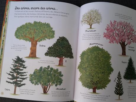 Promenade dans les bois ♥ ♥ ♥ Natalie Hughes - Editions Usborne