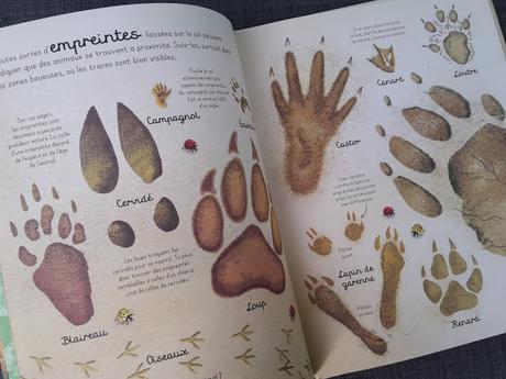 Promenade dans les bois ♥ ♥ ♥ Natalie Hughes - Editions Usborne