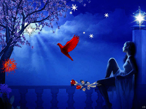 50 nuances de Macron XXXVIII 50 nuances de Macron XXXVIII