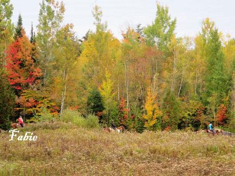 Pays Etranger - Le Canada en Automne