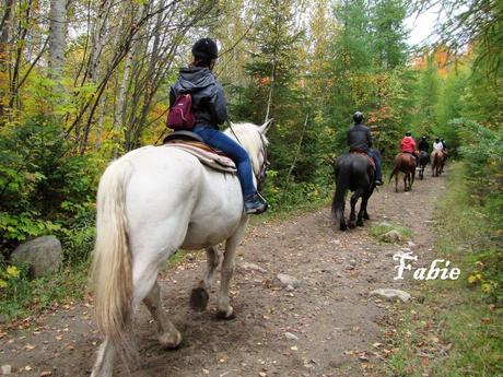 Pays Etranger - Le Canada en Automne