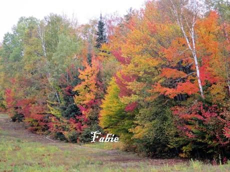 Pays Etranger - Le Canada en Automne