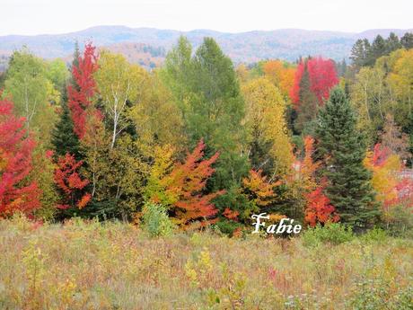 Pays Etranger - Le Canada en Automne