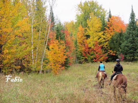 Pays Etranger - Le Canada en Automne