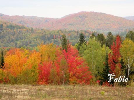 Pays Etranger - Le Canada en Automne