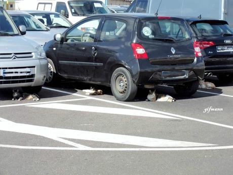 La France - For sur Mer