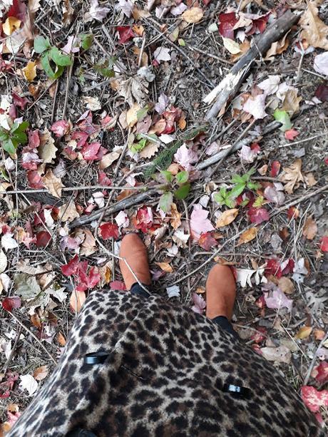 Du léopard pour l'automne chez Cendriyon !
