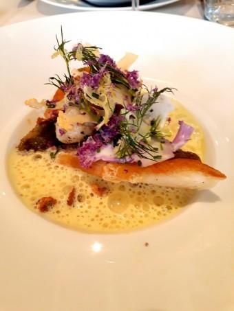 Saint-Pierre, chou fleur confit bouillon curcuma © Gourmets&co Saint-Pierre, chou fleur confit bouillon curcuma © Gourmets&co