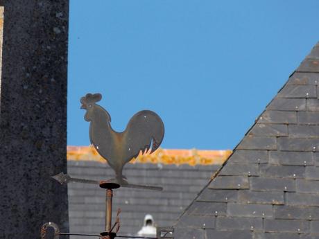 écoute dans le vent