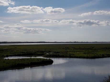 écoute dans le vent