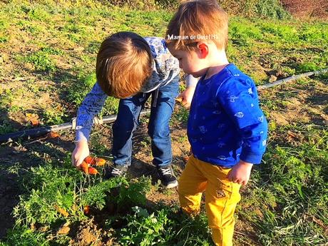 Vacances, Halloween : comment les occuper ?