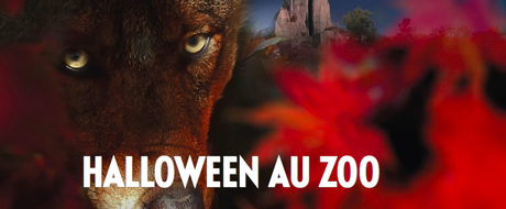 Vacances, Halloween : comment les occuper ?