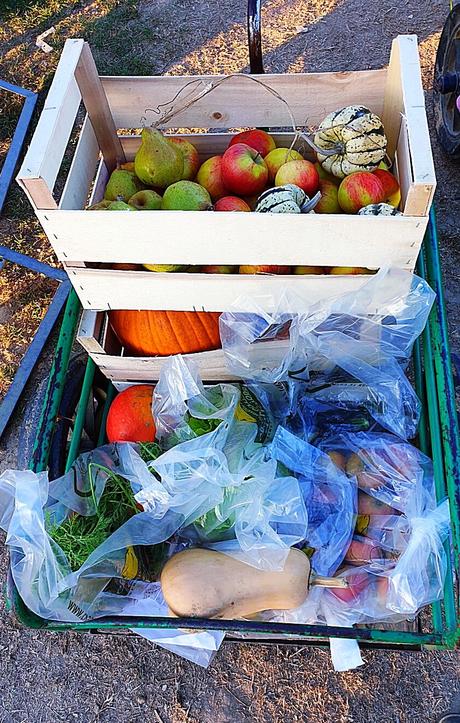 Vacances, Halloween : comment les occuper ?