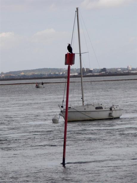 le sable des pavés n'a pas la mer à boire