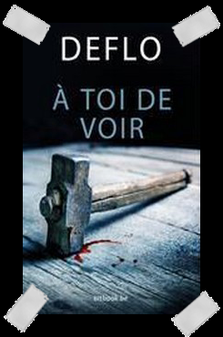 Affaire n°411: Affaire n°411: voir