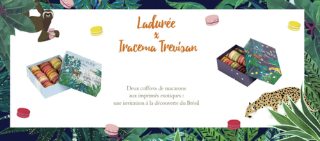 Le coffret Ladurée x Tracema Trevisan
