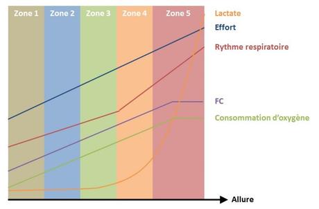 Comment configurer les zones cardio pour l’entrainement ? Comment configurer les zones cardio pour l’entrainement ?