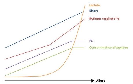 Comment configurer les zones cardio pour l’entrainement ? Comment configurer les zones cardio pour l’entrainement ?