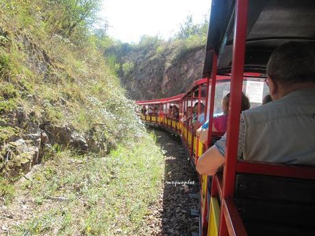 La France - Villerest et son petit train de touriste....
