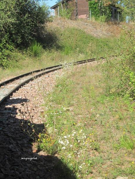 La France - Villerest et son petit train de touriste....