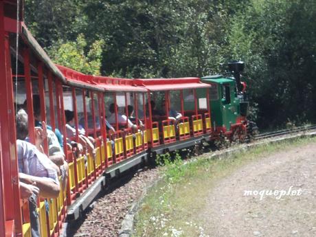 La France - Villerest et son petit train de touriste....