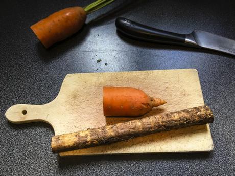 Bardane ? – Kinpira gobo (racines de bardane et carottes braisées)