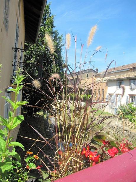 La France - Chatillon sur Chalaronne -  Les ponts