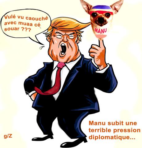 Macron : Un Chihuahua à Hue et à Dia