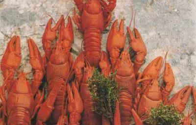 Quenelles de brochet lyonnaises aux écrevisses