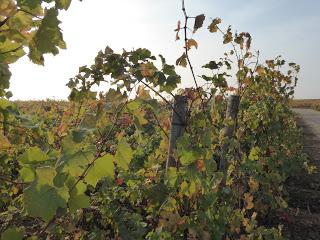 Souvenirs de Bourgogne