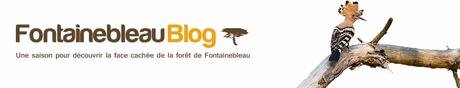 Fontainebleau blog - (site fontainebleau-blog.com)