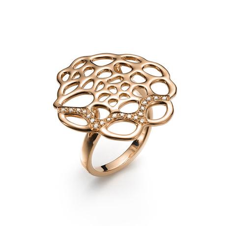 d8a45a0ea00245d2869723de65b09c4616058401292ff9ea8342b171758f9b81