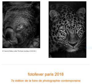 FoToFever Paris 2018 – 7me édition –  8/11 Novembre 2018 au Carrousel du Louvre