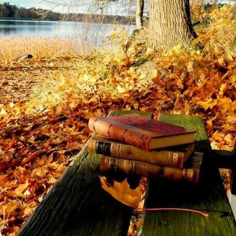 Mon bilan livresque d octobre 2018 Mon bilan livresque d octobre 2018