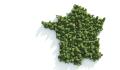 77375_carte-france-ecologie-vert-arbres 77375_carte-france-ecologie-vert-arbres