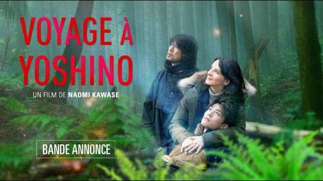 Les prochains films à ne pas rater en novembre