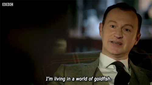 TFSA #335 « You look so smart! »