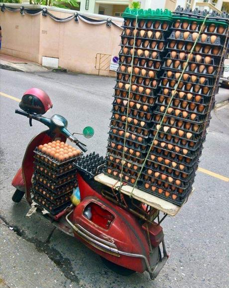 Vu en Thaïlande (c'est plus fort qu'à la télé !)