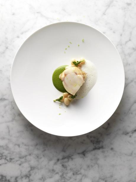 Virtus virtus_poissoncoco