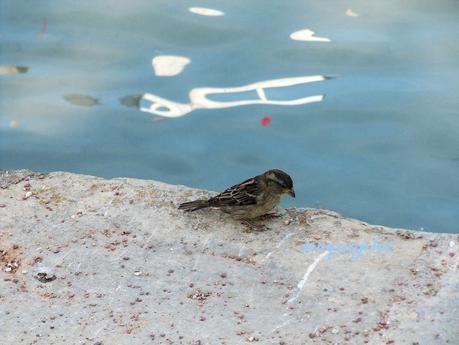 La France - Le Lac d'Annecy