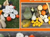 Comment cuisiner Courges Recettes faciles, originales savoureuses nouveau livre