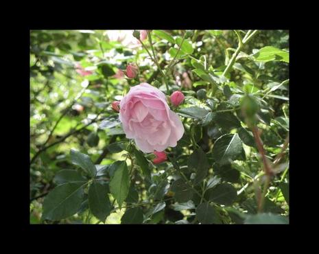 Mon poème inédit sur ce blog