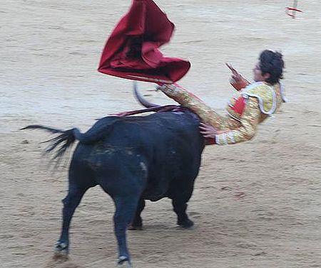 1215633943627castella_galeria_menos_2gd