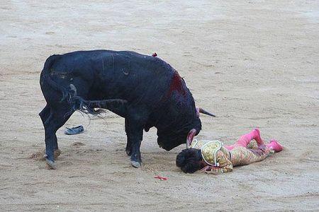 1215634132493castella_galeria_cogida_3gd