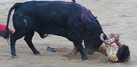 1215634207134castella_copgida_galeria_6gd