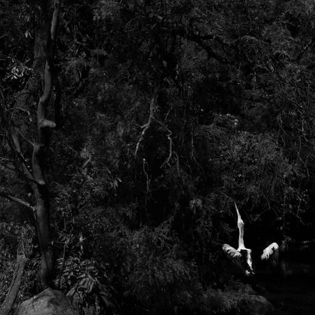 Katrin Koenning photographie de la présence katrin-koenning_photography_indefinitely_the-crossing