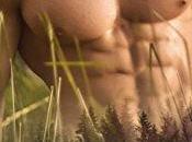 avis Bountiful, 4ème tome saga True North Sarina Bowen